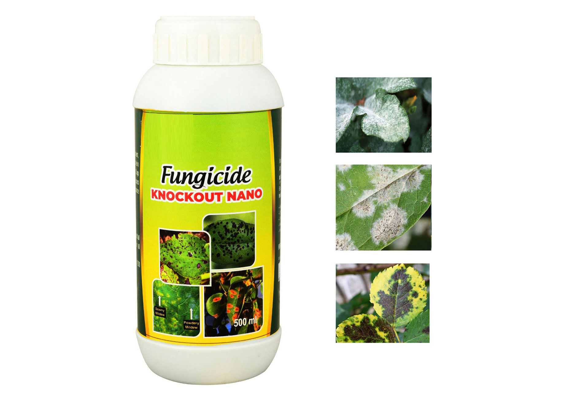 Fungicides 